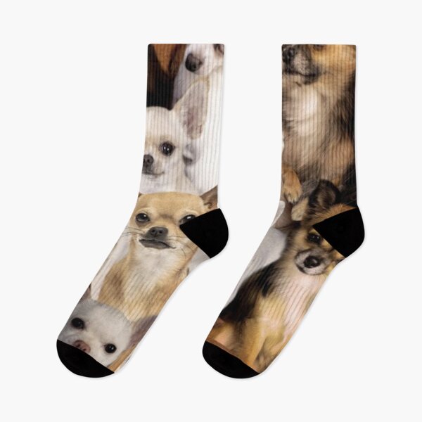 Item preview, Chihuahuas designed and sold by tocuzujaru354.
