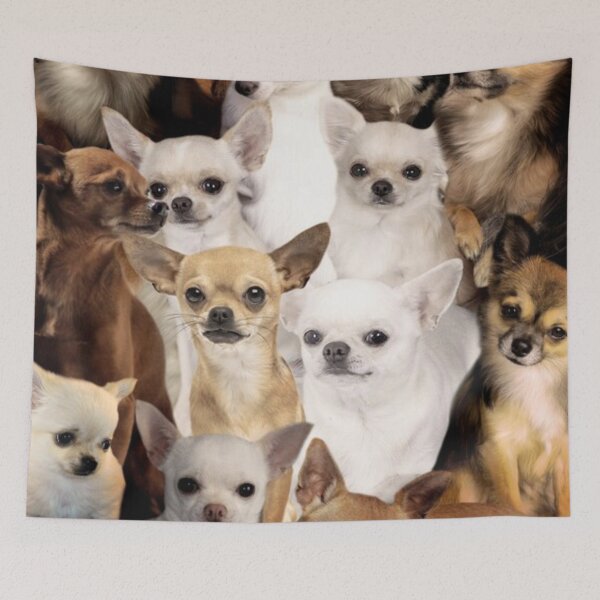 Item preview, Chihuahuas designed and sold by tocuzujaru354.