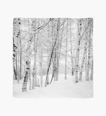 Birchwood Scarf