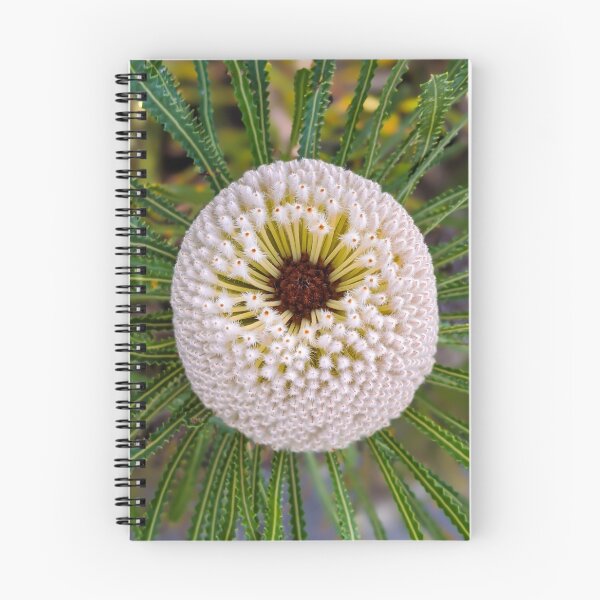 Artikelvorschau, Banksia Hookeriana entworfen und verkauft von WanderWithJosh.