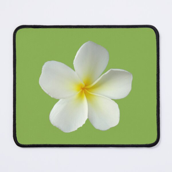 Item preview, Frangipani - White and Yellow on Light Green designed and sold by STHogan.