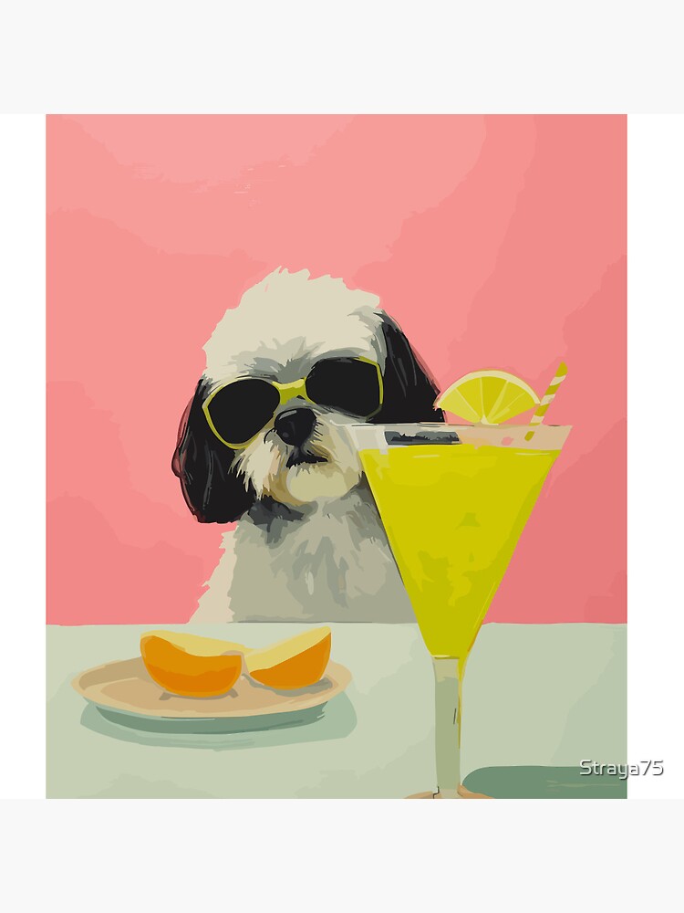 Cocktail 2024 shih tzu