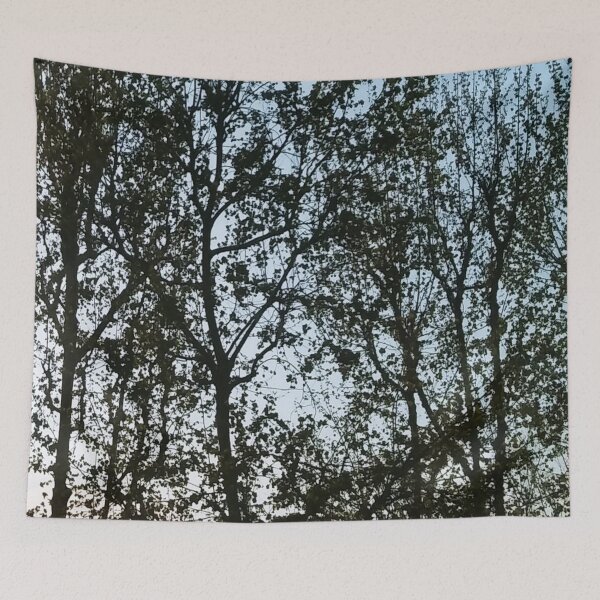 Item preview, TREES designed and sold by bodylump.