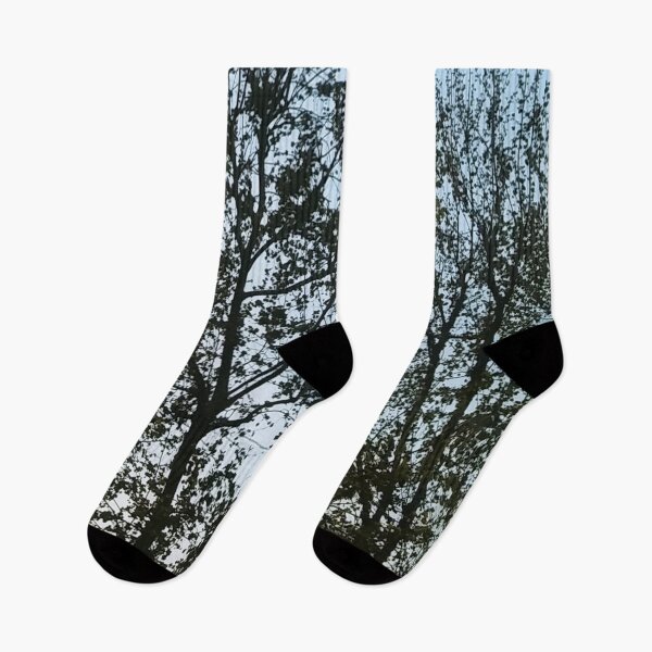 Item preview, TREES designed and sold by bodylump.