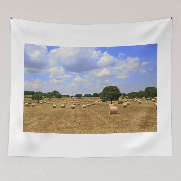 Aperçu de l'œuvre Paysage rural créée et vendue par annalisa56.