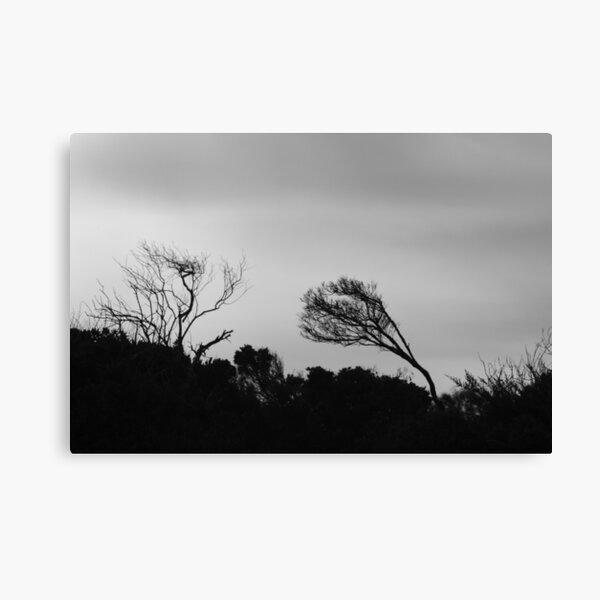 Grey day in Bicheno Canvas Print