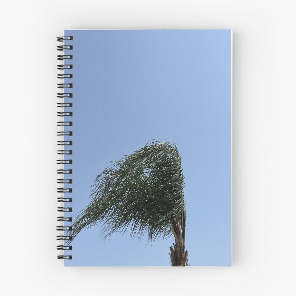 Item preview, Palm Tree in Cyprus #4 designed and sold by ArtGroupPills.
