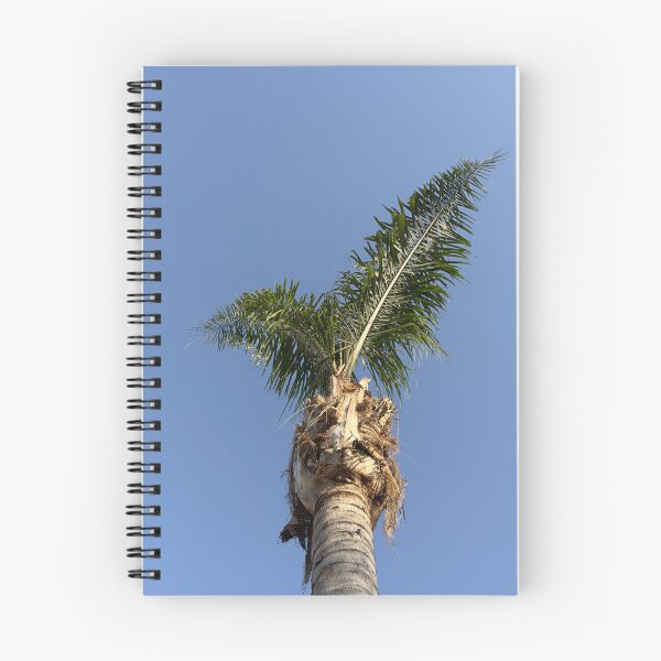 Item preview, Palm Tree in Cyprus #2 designed and sold by ArtGroupPills.