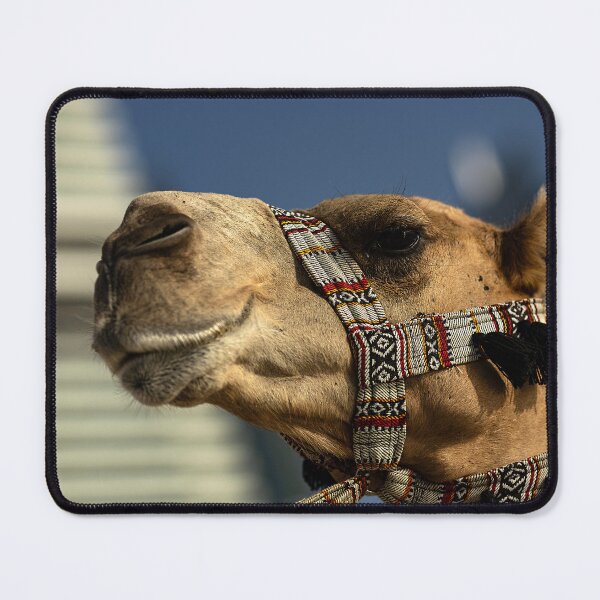 Item preview, Dubai designed and sold by Srdjan Petrovic.
