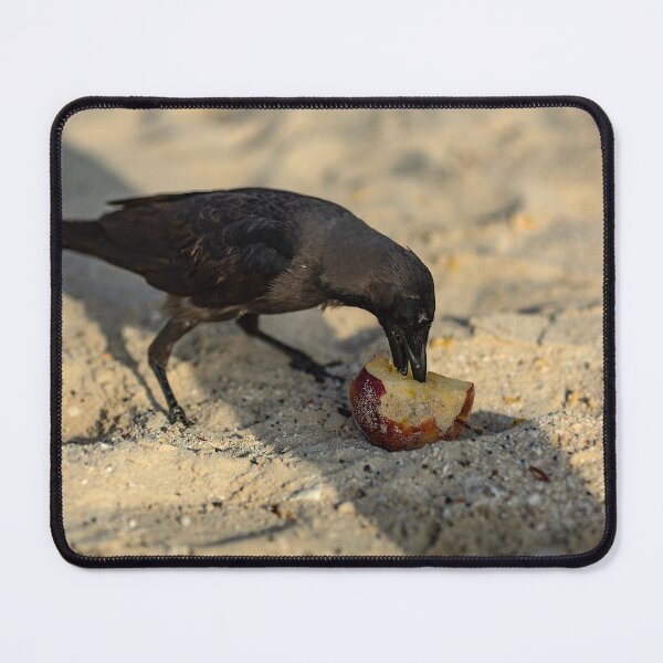Item preview, Dubai designed and sold by Srdjan Petrovic.