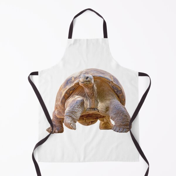 Item preview, Galapagos Tortoise In Galapagos Sticker designed and sold by Dark-Matter02.