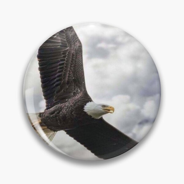 Item preview, Majestic Eagle: A Sticker that Embodies Freedom designed and sold by Topstar80.