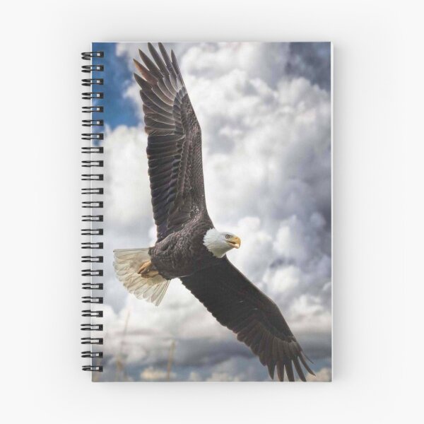 Item preview, Majestic Eagle: A Sticker that Embodies Freedom designed and sold by Topstar80.