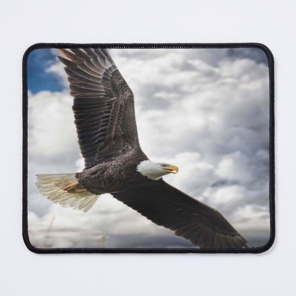 Item preview, Majestic Eagle: A Sticker that Embodies Freedom designed and sold by Topstar80.