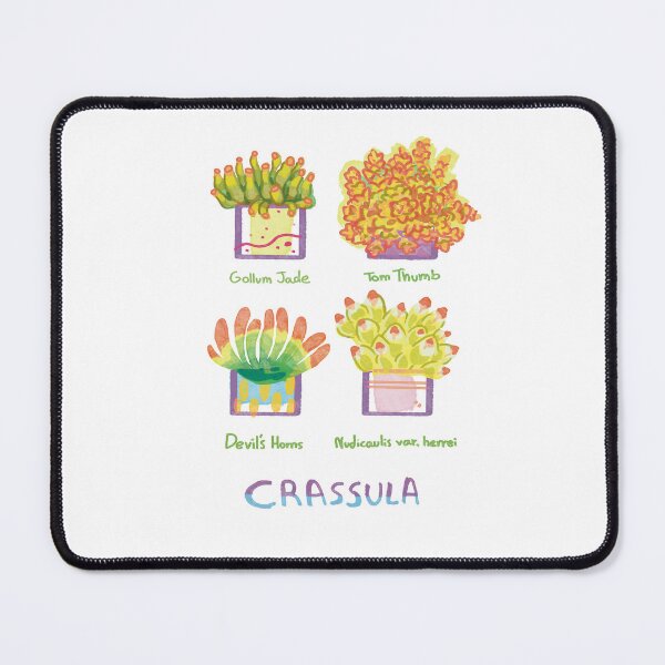 Item preview, Four Crassula succulents designed and sold by Deathoftheself.