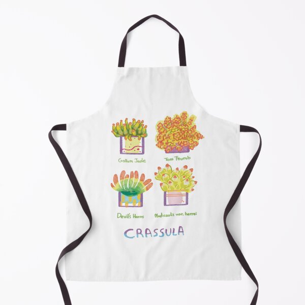 Item preview, Four Crassula succulents designed and sold by Deathoftheself.