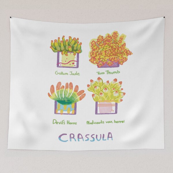 Item preview, Four Crassula succulents designed and sold by Deathoftheself.
