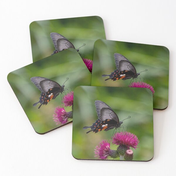 Item preview, Great Mormon butterfly designed and sold by pietrofoto.