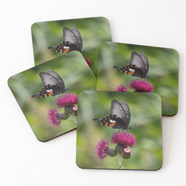 Item preview, Great mormon butterfly designed and sold by pietrofoto.