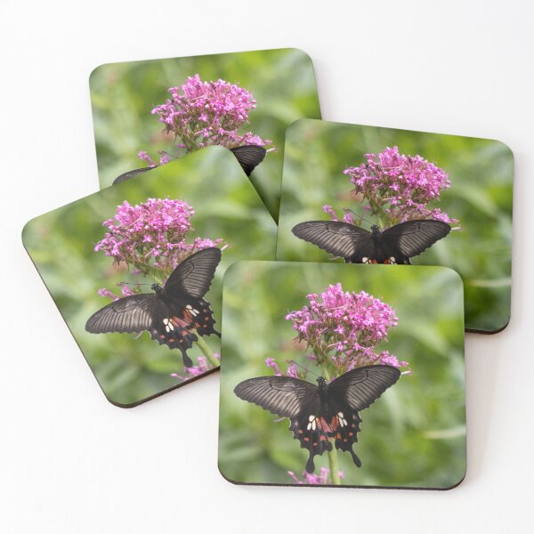 Item preview, Great mormon butterfly designed and sold by pietrofoto.