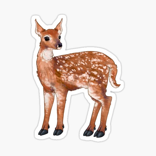 White-Tailed Deer Sticker Sticker
