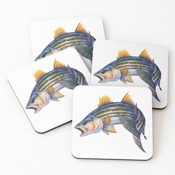 Item preview, Striped Bass Sticker designed and sold by HoneyBrieeeArt.