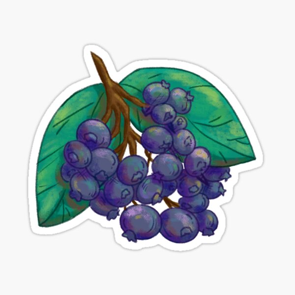 Alpine Blueberry Sticker Sticker