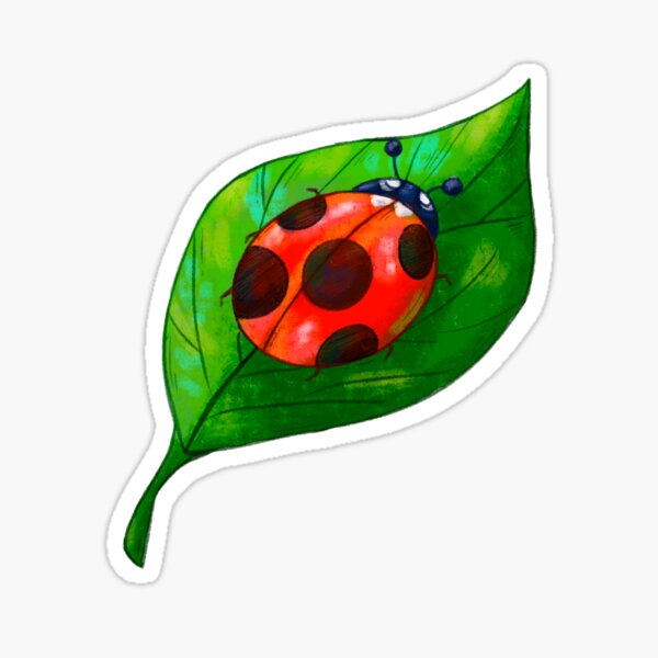 Ladybug Sticker