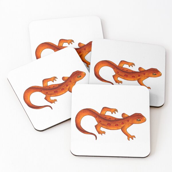 Item preview, Red-spotted Newt Sticker designed and sold by HoneyBrieeeArt.