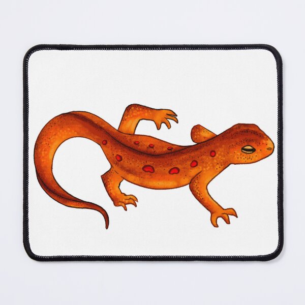Item preview, Red-spotted Newt Sticker designed and sold by HoneyBrieeeArt.
