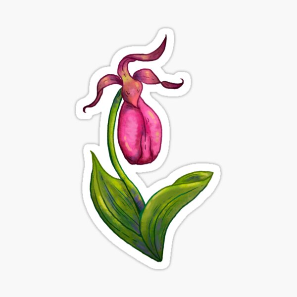 Pink Lady slipper Flower Sticker
