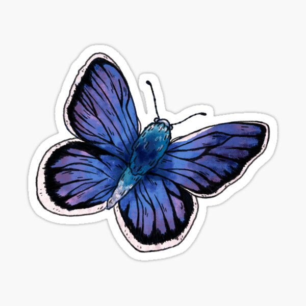 Karner Blue Butterfly Sticker Sticker