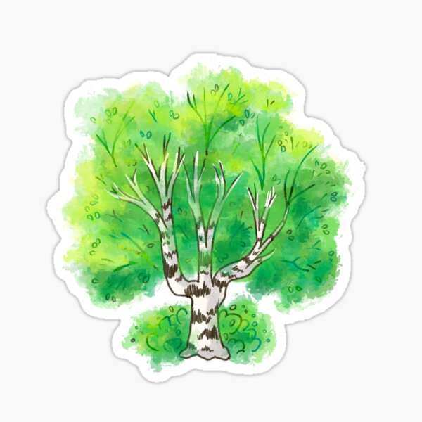 Birch Tree Sticker Sticker