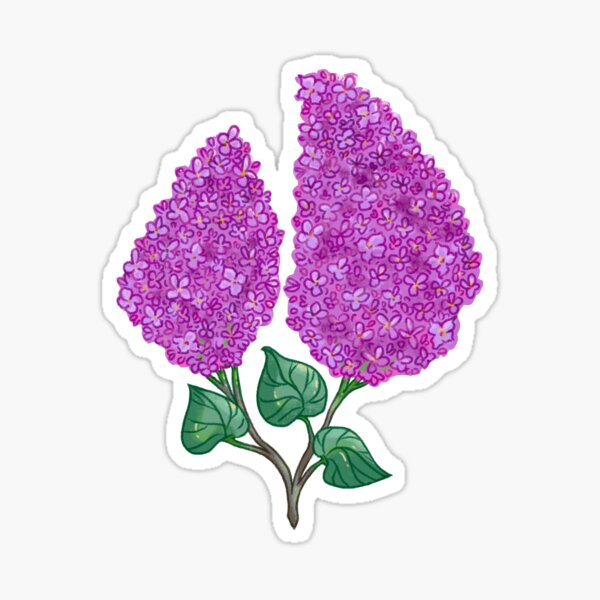 Purple Lilac Sticker Sticker