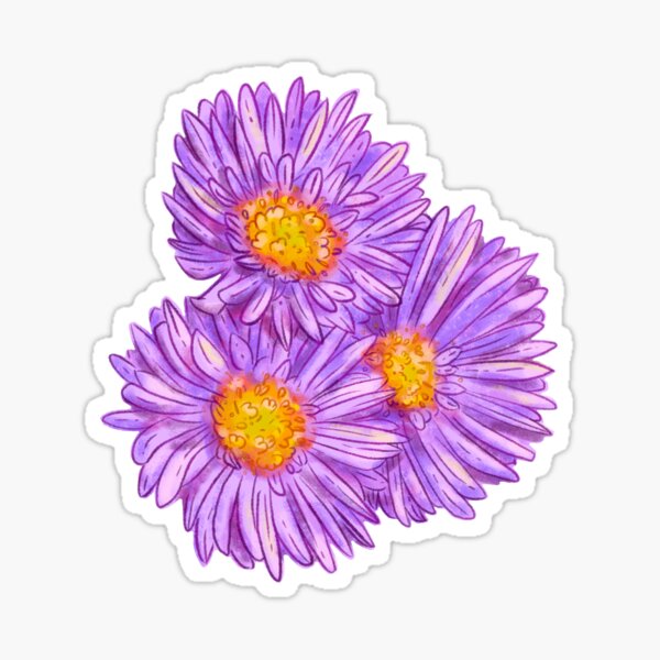 New England Asters Sticker Sticker