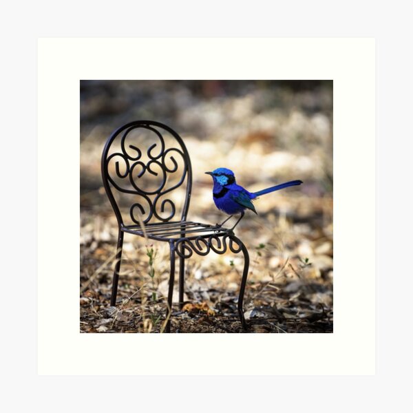 Item preview, Splendid Seating designed and sold by Ladyshark.