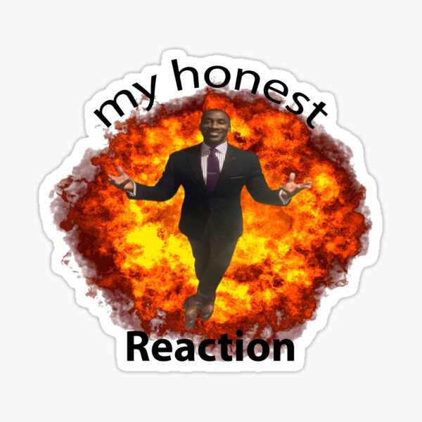 My Honest Reaction My Honest Reaction Meme Sticker - My honest