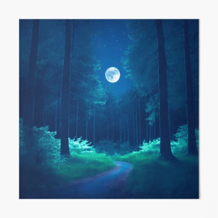 Moonlit Forest Landscapes With a Silvery Glow Cast by the