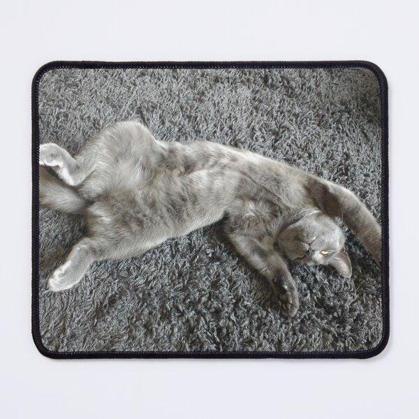 Item preview, #291 |☼| Mimi Sprawled Out - Shot 1 (Cats) designed and sold by Naean H.F. (Nez Man).