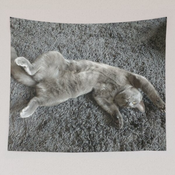 Item preview, #291 |☼| Mimi Sprawled Out - Shot 1 (Cats) designed and sold by Naean H.F. (Nez Man).