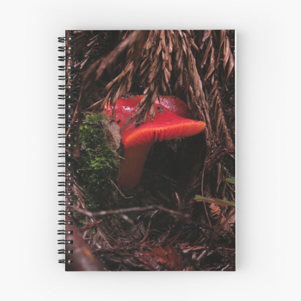Item preview, Scarlet Waxcap Mushroom designed and sold by krissaklein.