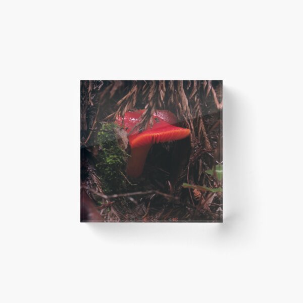 Item preview, Scarlet Waxcap Mushroom designed and sold by krissaklein.