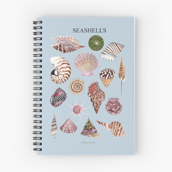 Item preview, SEASHELLS POSTER-white designed and sold by BEATRIZ ABAITUA.