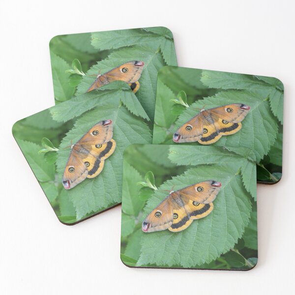 Item preview, Walter's Silkmoth: Calosaturnia walterorum designed and sold by Entomologist.