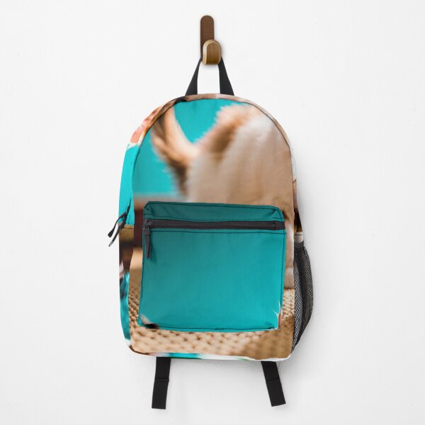 Item preview, Beautiful kitten on turquoise background designed and sold by Reunimage.