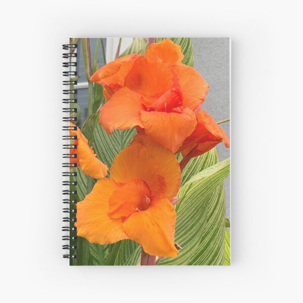 Orange Flower Blooms Photo Spiral Notebook