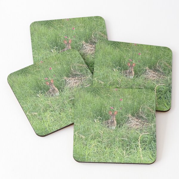 Item preview, Rabbit in grass designed and sold by Nature Photography by Wendi Gordon.