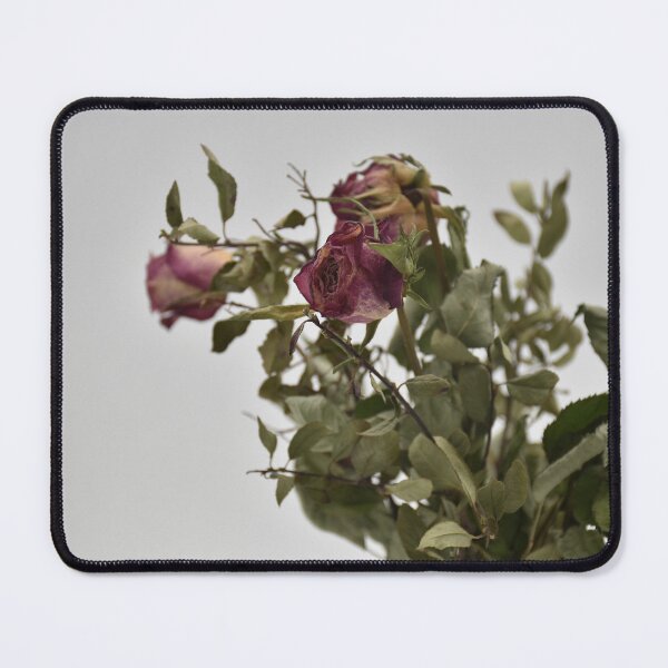 Item preview, Dry roses designed and sold by Aleksandar Mandic.
