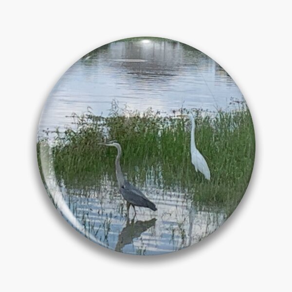 Item preview, Heron and egret standing beside each other and reflected in the water  designed and sold by Nature Photography by Wendi Gordon.