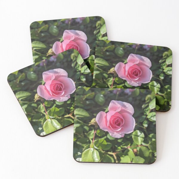 Item preview, Pink petals designed and sold by CsillaRosales.
